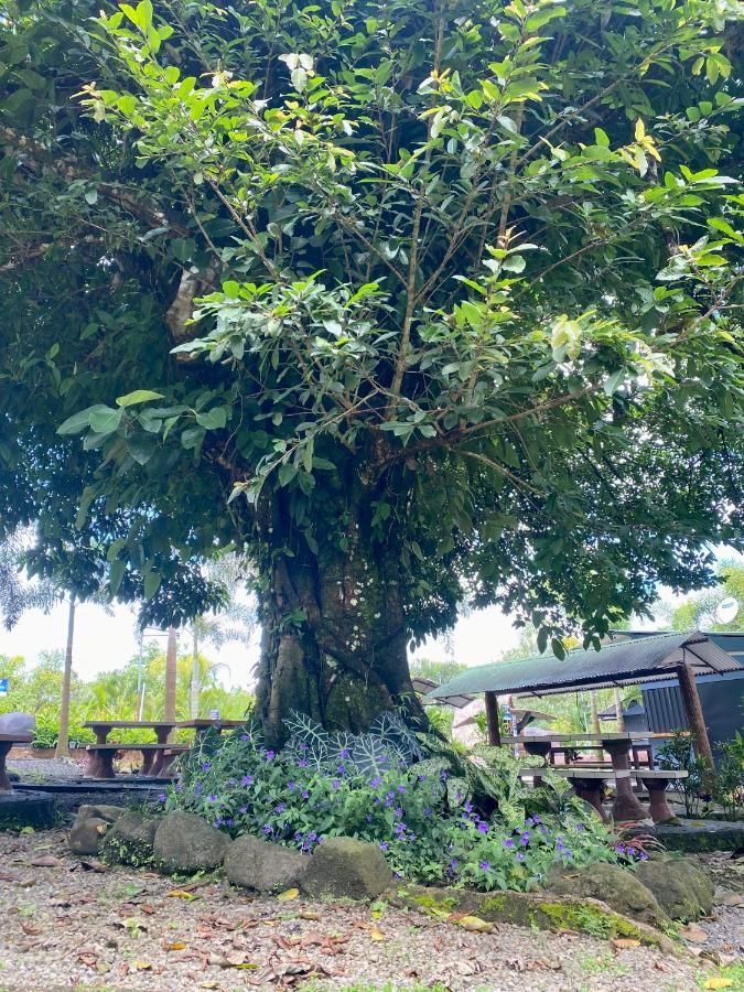Готель Termales Del Arenal La Fortuna Екстер'єр фото